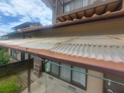 s-20230602_141242.jpg